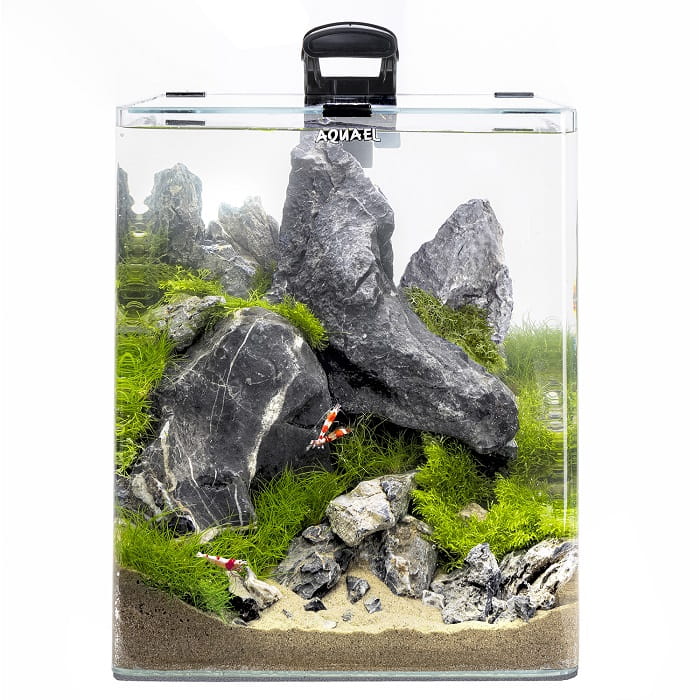 124138 OptiBent Set 30 black 01.jpg